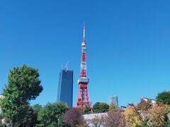 せっかく近いから東京タワーを見に芝公園へ。