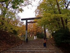 無事にリスを見つけることができたので
そのお礼に北海道神宮へ（笑）