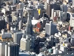 展望台で大阪の景色を楽しむ