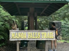 5日目です。実質最後に遊べる日でどこも観光に行ってないので、お金かけずに遊べる所、ということで行ったことのないマノアの滝へ行きました
マノアの滝へはバスで20分かからないくらいでとっても近かったです。