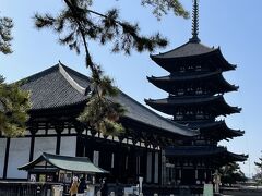 東金堂と五重塔　その2

奈良のシンボルとも言われる五重塔。
しばらく見られなくなるのは寂しい。
