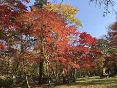 支笏湖到着。札幌から支笏湖へ向かう恵庭ルートの紅葉が素晴らしかった。
