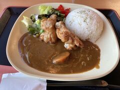 これ。
縄文鶏狩りと書いて、縄文チキンカリーと読むお料理。
まぁ何ということのないチキンカレーだった。
美味しかったけど。