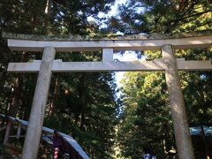 さて、お次は新潟市のすぐ近く、弥彦村にあります越後一宮
「弥彦神社」です。　ほんとは「彌彦神社」が正しいとか。

日本人が大好きな三大なんとか。　ありましたー　三大彦山。
英彦山（福岡県）　弥彦山（新潟県）　雪彦山（兵庫県）だとか。
「彦」は男性首長の尊称で女性の「姫」と対をなす、極めて古い
名称だとか。






