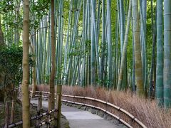竹に囲まれた小道。
深呼吸しながら歩きたくなります。

混雑時には入場制限もされるそうですが、平日に行ったからか、人が写らないように撮影できるタイミングもありました。