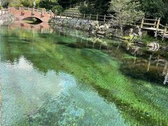 霧島山麓丸池湧水