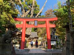 白浜神社。
縁結び、恋愛力アップにご利益のあるパワースポットと聞いたら行かなくては（笑）
