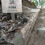 202210,④京都,鞍馬山の山越え,朱色が美しい貴船神社