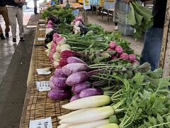 鎌倉野菜が並びます
地産生産者が早朝から
ここは四班あり、毎日班ごと
新鮮な鎌倉野菜が並びます