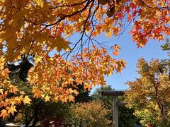 中島公園と札幌護国神社を境にする鴨々川にかかる赤い橋、どうやら紅葉写真を撮るスポットの名所のようで、たくさんの人が集まって写真を撮っていました。境内の中の芝生の上に形取られたハートのマークが素敵でした。札幌護国神社は、北海道を開拓をした屯田兵の方々を祀ってある神社だそうです。