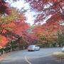 紅葉の塩原温泉郷・鬼怒川１泊２日旅行【２】鬼怒川観光ホテル、龍王峡、鬼怒楯岩大吊橋、佐野、等