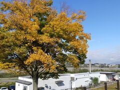 天気もよし！
紅葉も見頃(^o^)