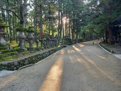 境内には平安時代より奉納の始まった約３０００基の燈籠があります。万葉植物園を過ぎたあたりから目立ってきます。