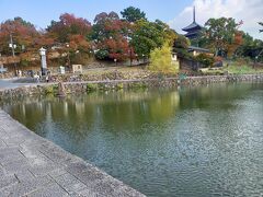 猿沢池です。猿沢池は奈良公園内で、興福寺の南側にある周囲360メートルの池です。