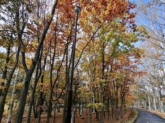 道立自然公園 野幌森林公園