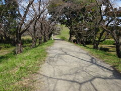 石田堤
丸墓山古墳へと続く道の一部は、石田三成が古墳の上に陣を張った時築かれた堤防の跡といわれている。