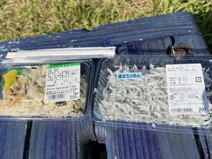 道の駅でしらすを売っているのを発見！しかも200円！貝めしにかけて食べることにしました。