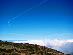 と思ったら、上を見ると

飛行機雲～♪