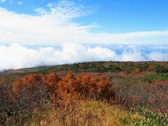 蔵王エコーラインから蔵王ハイラインに入ると間もなく、終点の蔵王刈田山頂に到着しました(^^)

今いる刈田岳の辺りは標高１７５８ｍ…

帰りのバスの時間まで約１時間半とタイトなので、早速、御釜の方向へ歩きます(*´Д`)ﾊｧﾊｧ