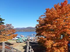 山中湖畔に向かいました。

山中湖ではこの時期、毎年紅葉祭りみたいなものを開催しています。

「夕焼けの渚 紅葉まつり」で検索。