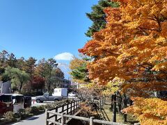 夕焼けの渚 紅葉まつりのエリア内。

夜のライトアップは以前来たことがあります。
それもいいんですが、昼間の富士山と紅葉のコントラストも良いですね。