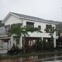 小笠原諸島 父島へ一人旅２*・゜・*雨に振り回された１日、森歩きへ*・゜・*