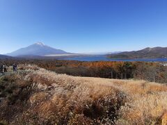 山中湖と駿河小山を結ぶ県道７３０号線に設置されている「パノラマ台」（あたりから）の富士山と山中湖です。

子供の頃、親類が小田原にいた自分にとって、この道は混雑する国道１３８号のう回路だったんですよ。その程度の知名度だろと高をくくってたら・・・すっかり有名な場所になってしまったようで。

展望台のあたりは混雑してカオスになってました。