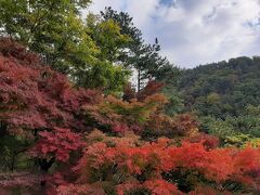 和田峠見晴峠からの紅葉です。