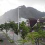 小笠原諸島 父島へ一人旅４*・゜・*晴れの予報だったけど雨…ウミガメに癒される*・゜・*