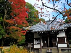 初めに楊貴妃観音を拝みます。ドキドキする。