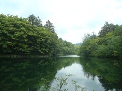 雲場池は紅葉スポットですが、6月の雲場池も緑の木々がきれいです。この場所から写真を撮る人が多かったです。