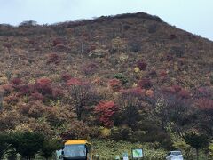 恵山つつじ公園