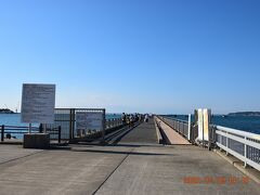 これが長さ日本一の桟橋。