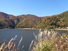 到着したのはーー。

精進湖です。

さすがに秋の風情、ススキが繁茂しています。
