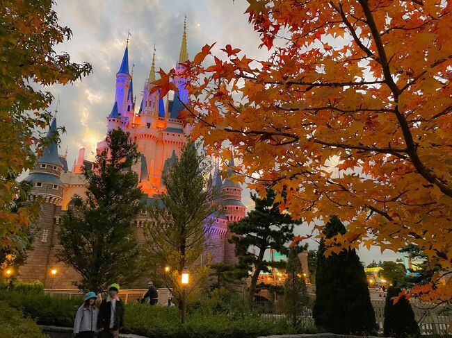 スマホ撮りのディズニー2022・秋 TDL編』東京ディズニー