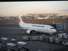 ３日の朝、羽田空港から和歌山に向います。
写真は、カードラウンジからの眺めです。
出発までラウンジまでノンビリしてから関空に向います。
本当は白浜の方が便利なのですが、航空券は関空の方がめちゃくちゃ安かったので関空から旅を始めることに、後で若干の後悔をもたらす頃に成るとはこの時点ではつゆ知らずです。