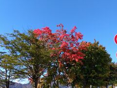 中禅寺湖畔。紅葉の始まりですね。