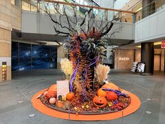 東京・六本木『Roppongi Hills』ウエストウォーク 2F 南側吹き抜け

『六本木ヒルズ』のハロウィーンデコの写真。

「ディズニー・ハロウィーン」へは行けませんでしたが、
「ディズニー・クリスマス」には行くことができました。激混みです↓

<『TDS』2022ディズニー・クリスマス ①
「クリスマスタイム・ウィズ・ユー」当選！「ディズニー・クリスマス・
グリーティング」ダッフィーNEWグッズ＆クリスマス
スペシャルメニュー>

https://4travel.jp/travelogue/11791091

<『東京ディズニーシー（TDS）』2022ディズニー・クリスマス ②
11/11から始まったNEWショー「ビリーヴ！～シー・オブ・
ドリームス～」初日！MISIAさんが熱唱>

https://4travel.jp/travelogue/11791375