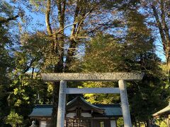 隣の足助神社にも行きました。
車がいっぱい。