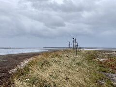 ついにトドワラに到着。
「トドワラ」とは、海水に浸食されて立ったまま枯れたトドマツ。
徐々に少なくなって、いずれなくなってしまうそうです。いまのうちに見ておくべきですね。