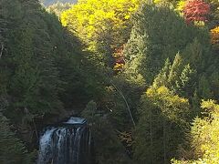 善五郎の滝展望所までは５分位で到着
もうひとつの散策路からより時間はかかりませんでした
滝の所まで行く事も出来ますが今回はここでUターン
（滝付近に行くにはこの先更に急な下り階段が続きます）