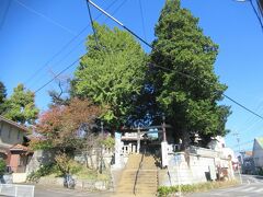 矢喰村庚申塚隣の高台に建つ矢切神社。
1704年に起こった大洪水で多くの人が亡くなり、産業も大被害を受けた際に祀られました。