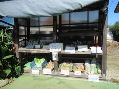 野菊の墓文学碑に向かう途中で見つけた無人野菜販売所。
のどかな景観です。