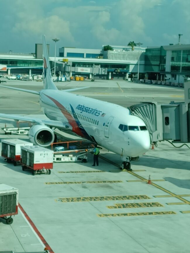 Amazon.co.jp: マレーシア航空 MHサウンドキー 飛行機 3個入り