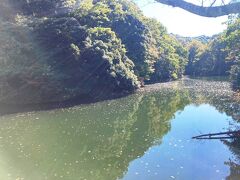 ようやく目的地、鎌倉湖に到着。