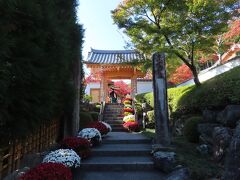 さて、こちらが本日の目的地、「宝徳寺」さんです。
https://www.houtokuji.jp/
拝観料は大人800円（12日から1,200円になるそうですｗ）