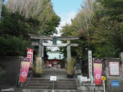 三崎　海南神社　ここからは1週間後の11月9日となります。

京急三崎口からバスに乗り約15分、三崎港バス停から徒歩約2分
パワースポットとしても知られます。
