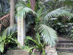 川平湾をあとにして、今度は石垣島の西側の道路を走って、米原ヤエヤマヤシ群落に行きました。