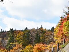 一番標高の高い1113m西ウレ峠から順番に紅葉し、
長い期間にわたって紅葉が楽しめる。
駐車場がなく、あったとしても満車で、
少し離れたところから歩いて・
西ウレ峠付近や森林公園おおくら滝付近の紅葉が美しい。