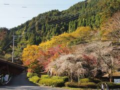 調音の滝公園